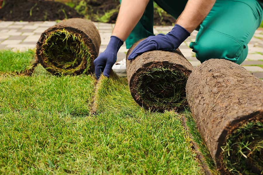 services-sod Sod Installation